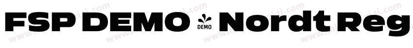 FSP DEMO - Nordt Reg字体转换